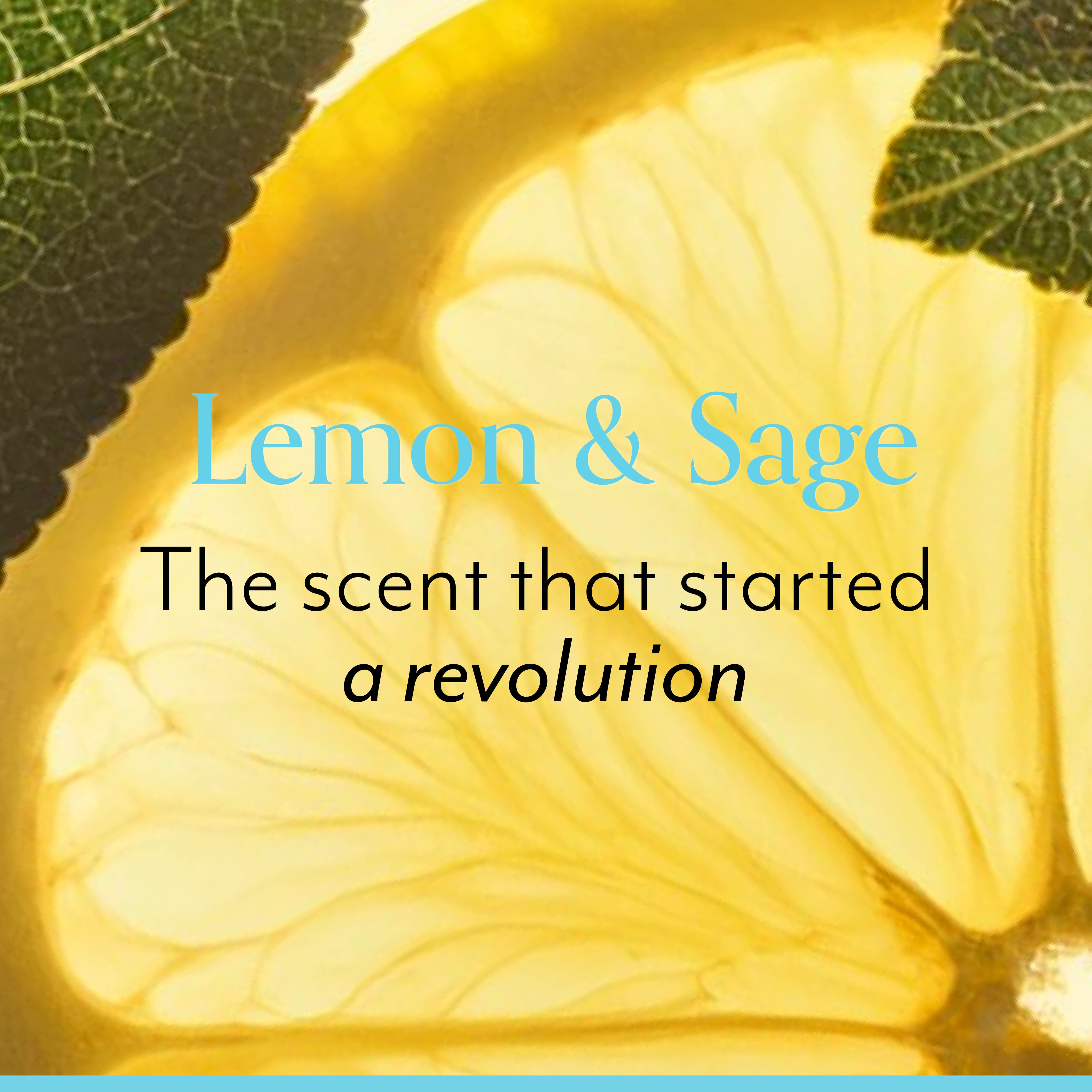 Lemon & Sage Luscious Hand Wash - Image 5